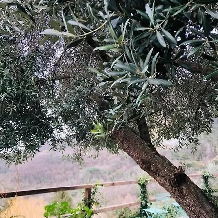 Casa Luci, Vista Mare *